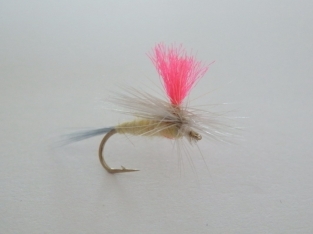 Size 16 Pale Morning Pink Parachute